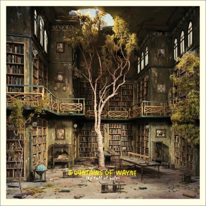 Fountains Of Wayne - Sky Full Of Holes (Limited Edition, LP)