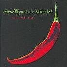 Steve Wynn - Tick Tick Tick (2 LPs)