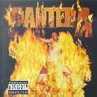 Pantera - Reinventing The Steel (LP)