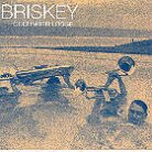 Briskey - Cucumber Lodge (2 LPs)