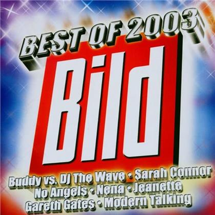 Various - Bild-Best Of2003 (2 LPs)