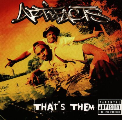 Artifacts (Tame One, El Da Sensei, DJ Kaos) - That's Them (LP)