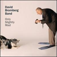 David Bromberg - Only Slightly Mad