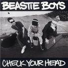 Beastie Boys - Check Your Head (2 LPs)