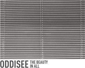 Oddisee - Beauty In All (Colored, LP)