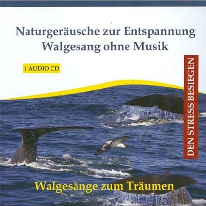 Thomas Rettenmaier - Naturgeräusche Zur Entspannung - Walgesänge Ohne Musik