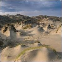 White Manna - Dune Worship