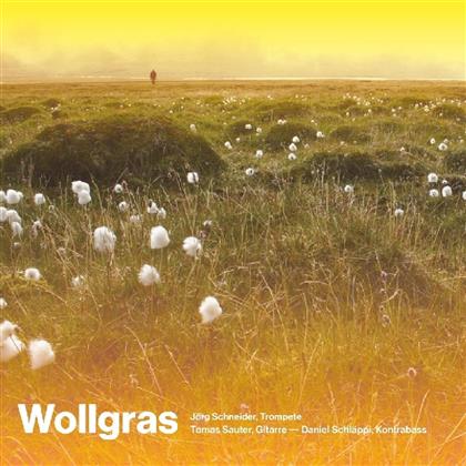 Jörg Schneider, Tomas Sauter & Daniel Schläppi - Wollgras