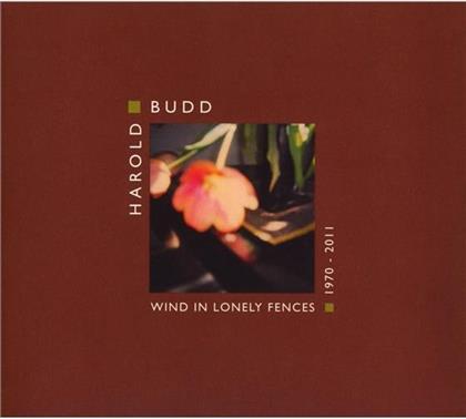 Harold Budd - Wind In Lonely Fences (2 CDs)