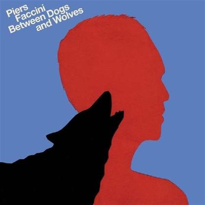 Piers Faccini - Between Dogs & Wolves