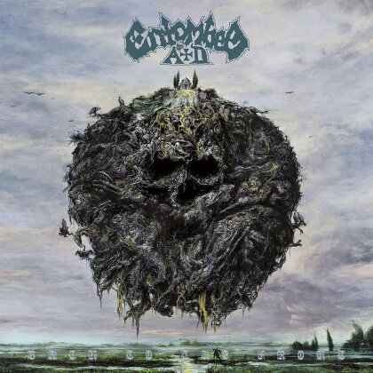 Entombed - Back To The Front (Limited Mediabook Edition)