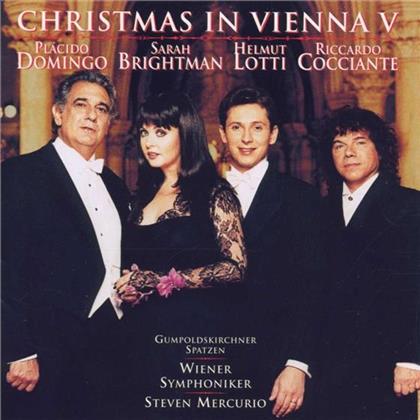 Plácido Domingo, Sarah Brightman, Helmut Lotti & + - Christmas In Vienna V