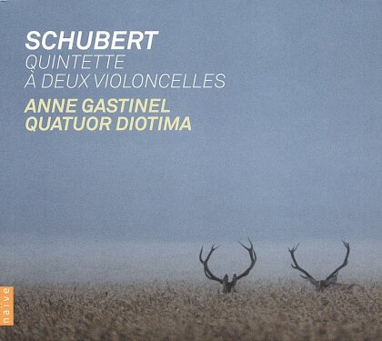 Quatuor Diotima & Franz Schubert (1797-1828) - Quintett D956