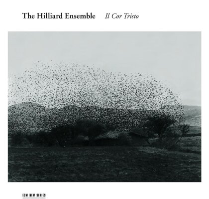 The Hilliard Ensemble & --- - Il Cor Tristo