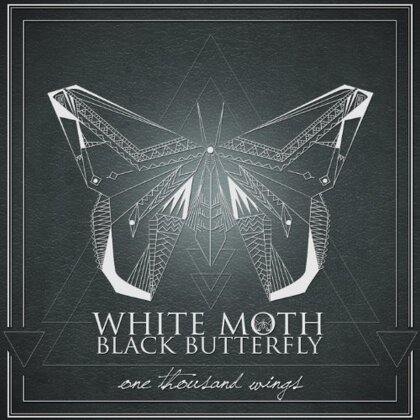 White Moth Black Butterfly - One Thousand Wings