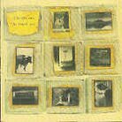 Electrelane - Power Out (LP)