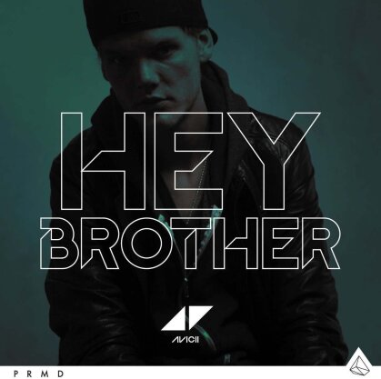 Avicii - Hey Brother - 2 Track