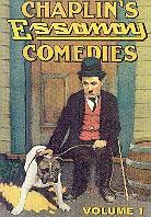 Chaplin's Essanay comedies, vol 1 (s/w)