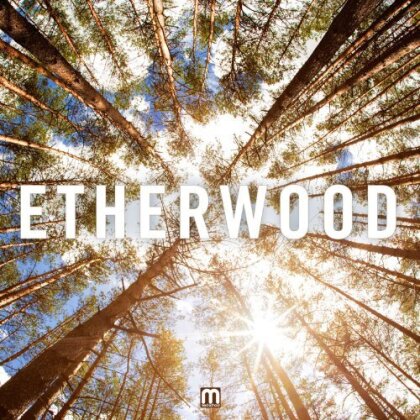Etherwood - --- (LP + CD)