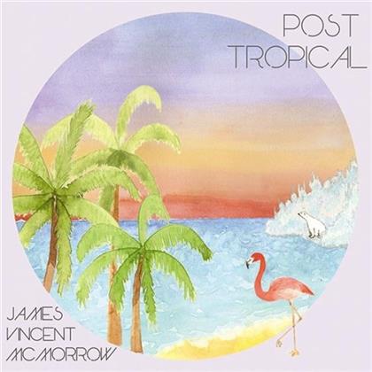 James Vincent McMorrow - Post Tropical - Believe Recordings (LP + Digital Copy)
