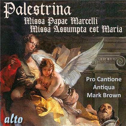 Pro Cantione Antiqua, Giovanni Pierluigi da Palestrina (1525-1594) & Brown Mark - Geistliche Werke - MIssa Papae Marcelli, Missa Assumpta est Maria