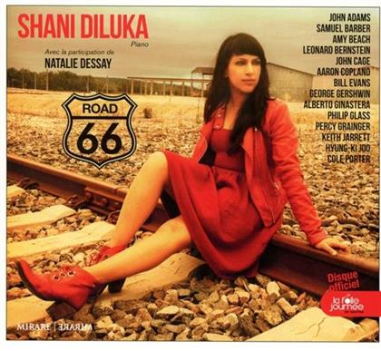 Shani Diluka - Road 66