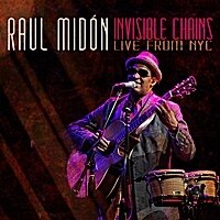 Raul Midon - Invisible Chains - Live