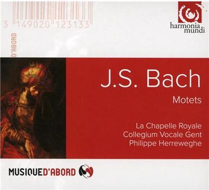 Collegium Vocale Gent, La Chapelle Royale, Johann Sebastian Bach (1685-1750) & Philippe Herreweghe - Motets