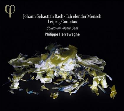 Collegium Vocale Gent, Dorothee Mields, Damien Guillon, Thomas Hobbs, Johann Sebastian Bach (1685-1750), … - Ich Elender Mensch - Leipzig Cantatas Vol. 2
