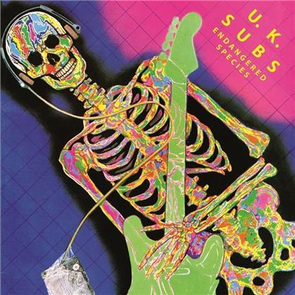 U.K. Subs - Endangered - Limited Reissue - Clear Vinyl (LP)