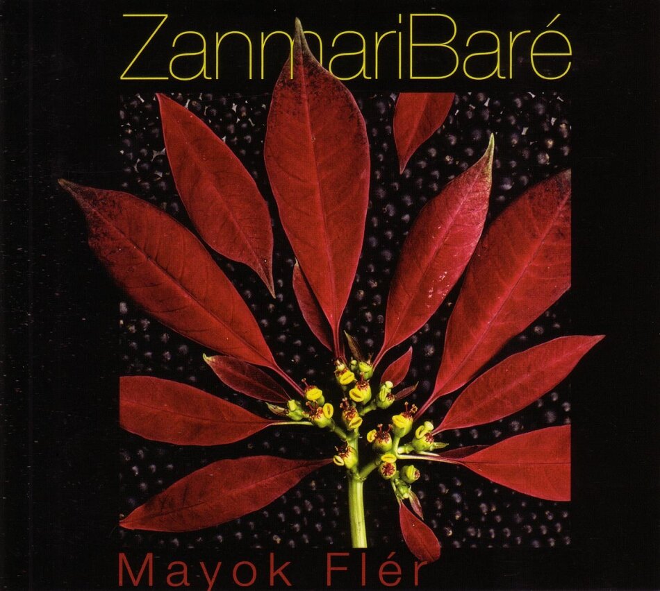 Zanmarie Bare - Mayok Fler