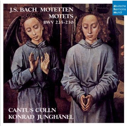 Cantus Cölln & Johann Sebastian Bach (1685-1750) - Motetten