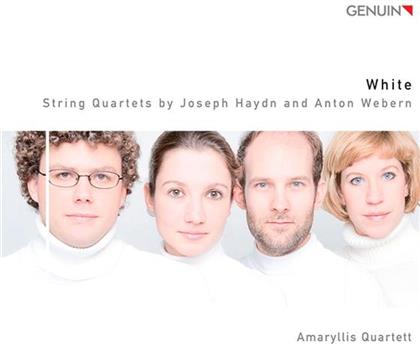 Amaryllis Quartett, Joseph Haydn (1732-1809) & Anton von Webern (1883-1945) - String Quartets