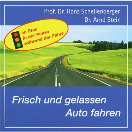 Arnd Stein - Frisch Und Gelassen Auto Fahren (New Version)
