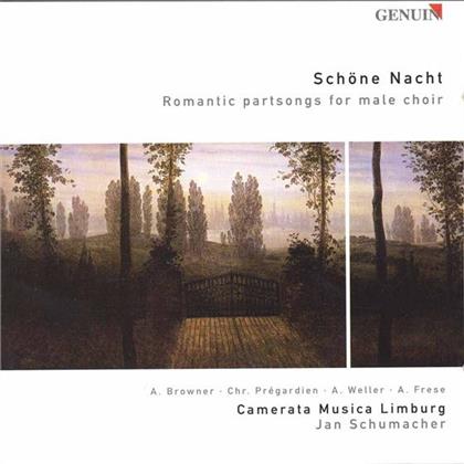 Camerata Musica Limburg, Ralph Vaughan Williams (1872-1958), Franz Schubert (1797-1828), Silcher, … - Songs from Romanticism