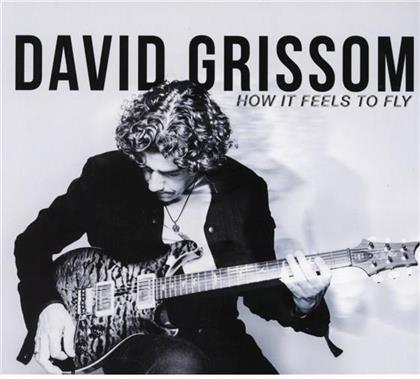 David Grissom - How It Feels To Fly