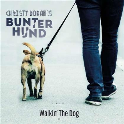 Christy Doran - Walkin' The Dog