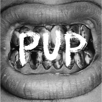 Pup - --- (LP)