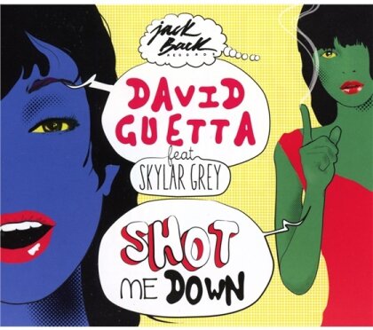 David Guetta & Skylar Grey - Shot Me Down - 2Track