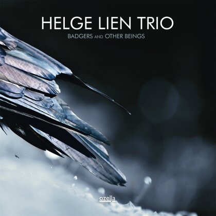 Helge Lien - Badgers & Other Beings
