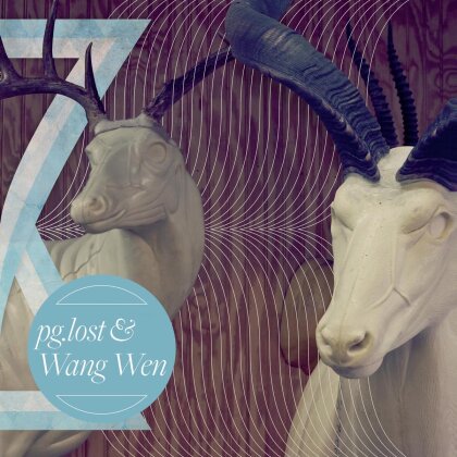 Pg.Lost & Wen Wang - Split (LP)