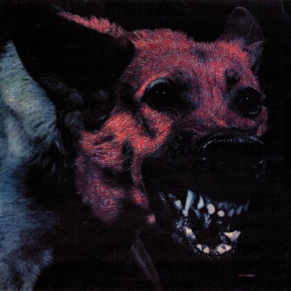 Protomartyr - Under Color Of Critical