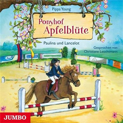 Christiane Leuchtmann - Ponyhof Apfelbluete 2