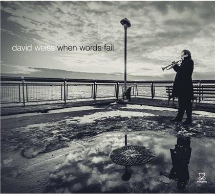 David Weiss - When Words Fail