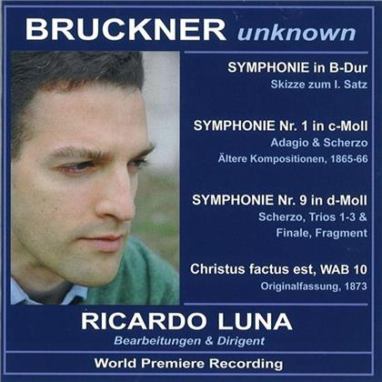 Ensemble ViennAyres, Ensemble Wien-Linz, Hard-Chor Linz, Klavierduo Gröbner-Trisko, Anton Bruckner (1824-1896), … - Bruckner Unknown - Bearbeitungen, World Premiere Recording