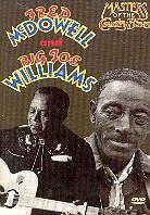 Williams Joe & Mcdowell Fred - Masters of the country blues
