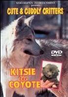 Cute and cuddly critters - Kitsie the coyote