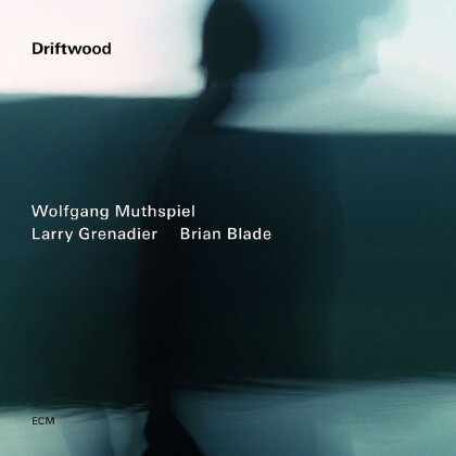 Wolfgang Muthspiel (*1965) & Larry Grenadie - Driftwood