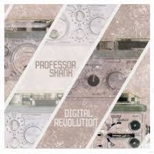 Professor Skank - Digital Revolution (LP)
