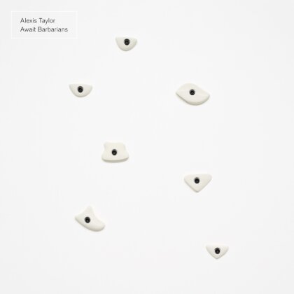 Alexis Taylor (Hot Chip) - Await Barbarians (LP)